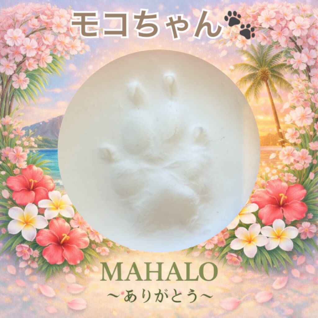 トイプードル足型