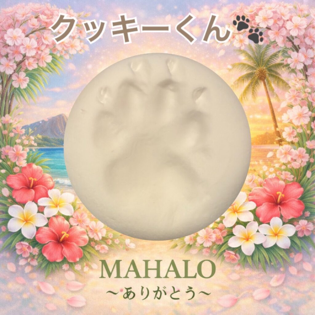 MIX犬の足型投稿