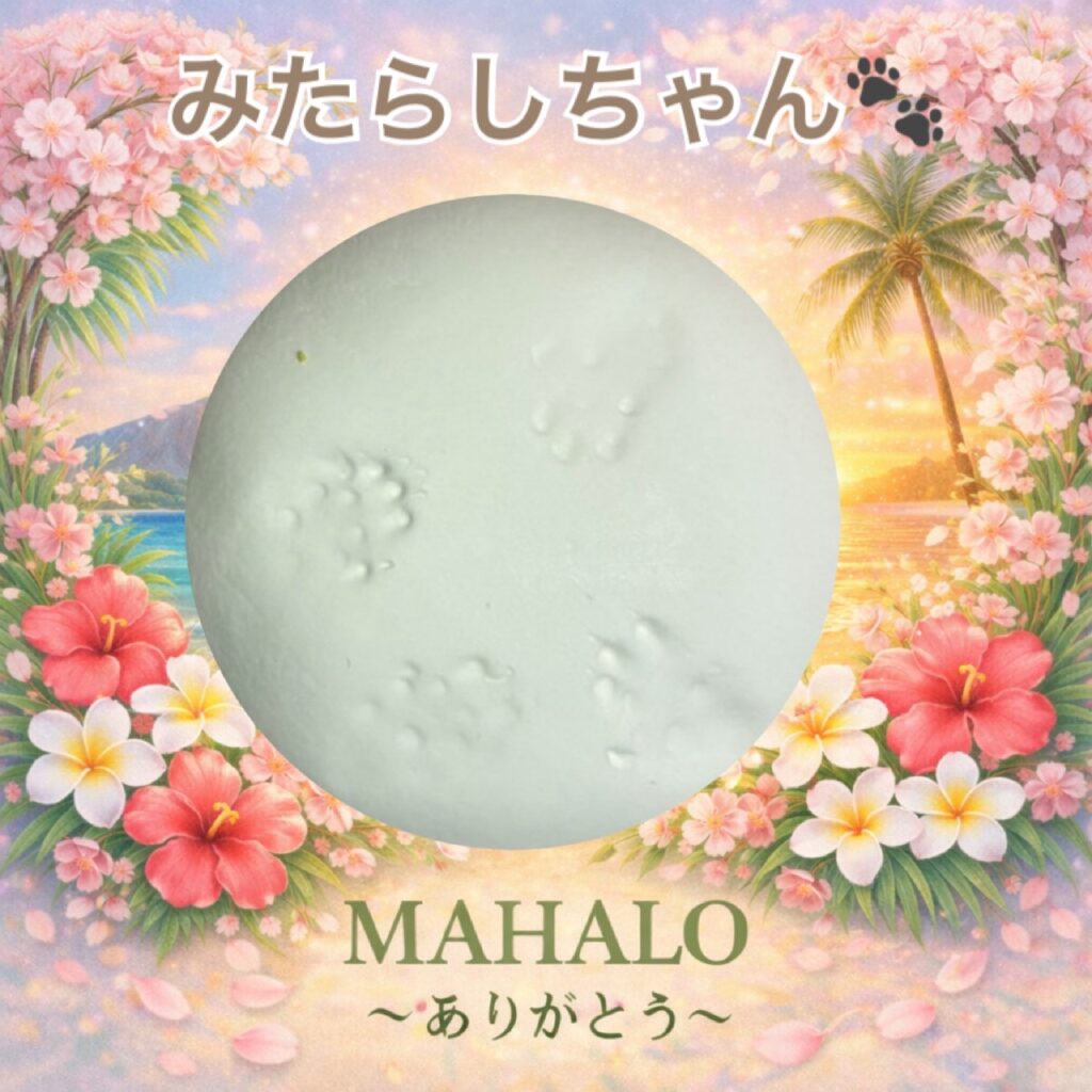 ジャンガリアンハムスター足型