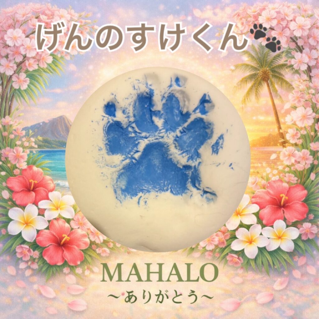 カニヘンダックスフンドの足型