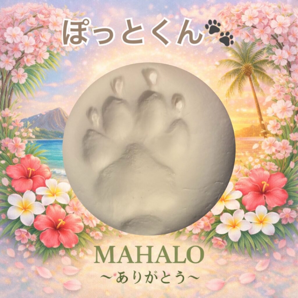 ミニチュアダックスフンド足型投稿