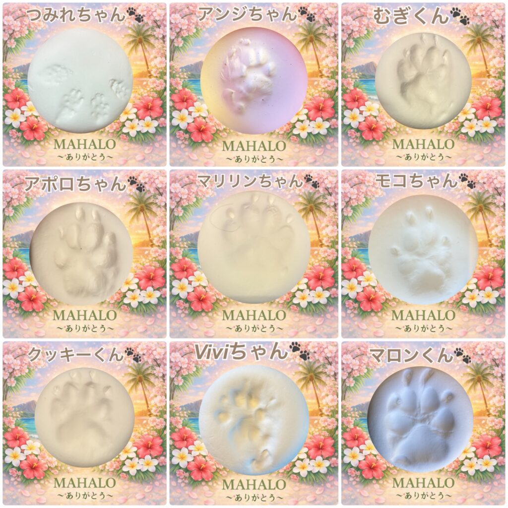沢山のペットちゃんの足型