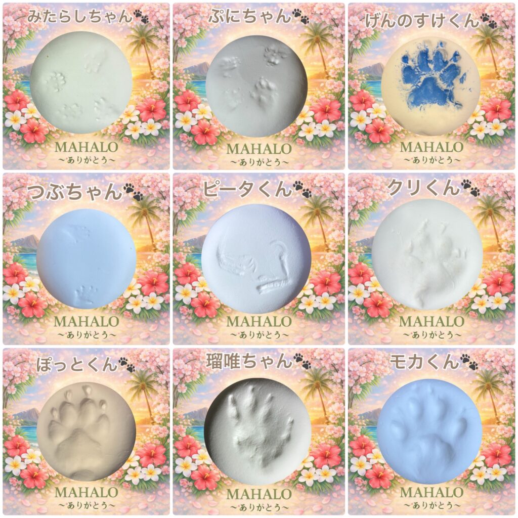 沢山のペットちゃんの足型