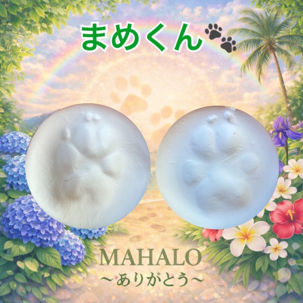 MAHALOにて対応させて頂いた柴犬の足型