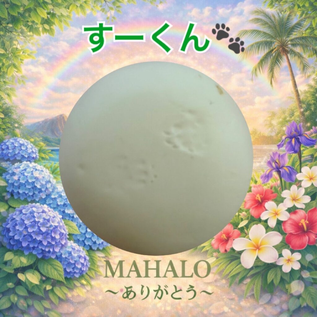MAHALOにて対応させて頂いたゴールデンハムスターの足型
