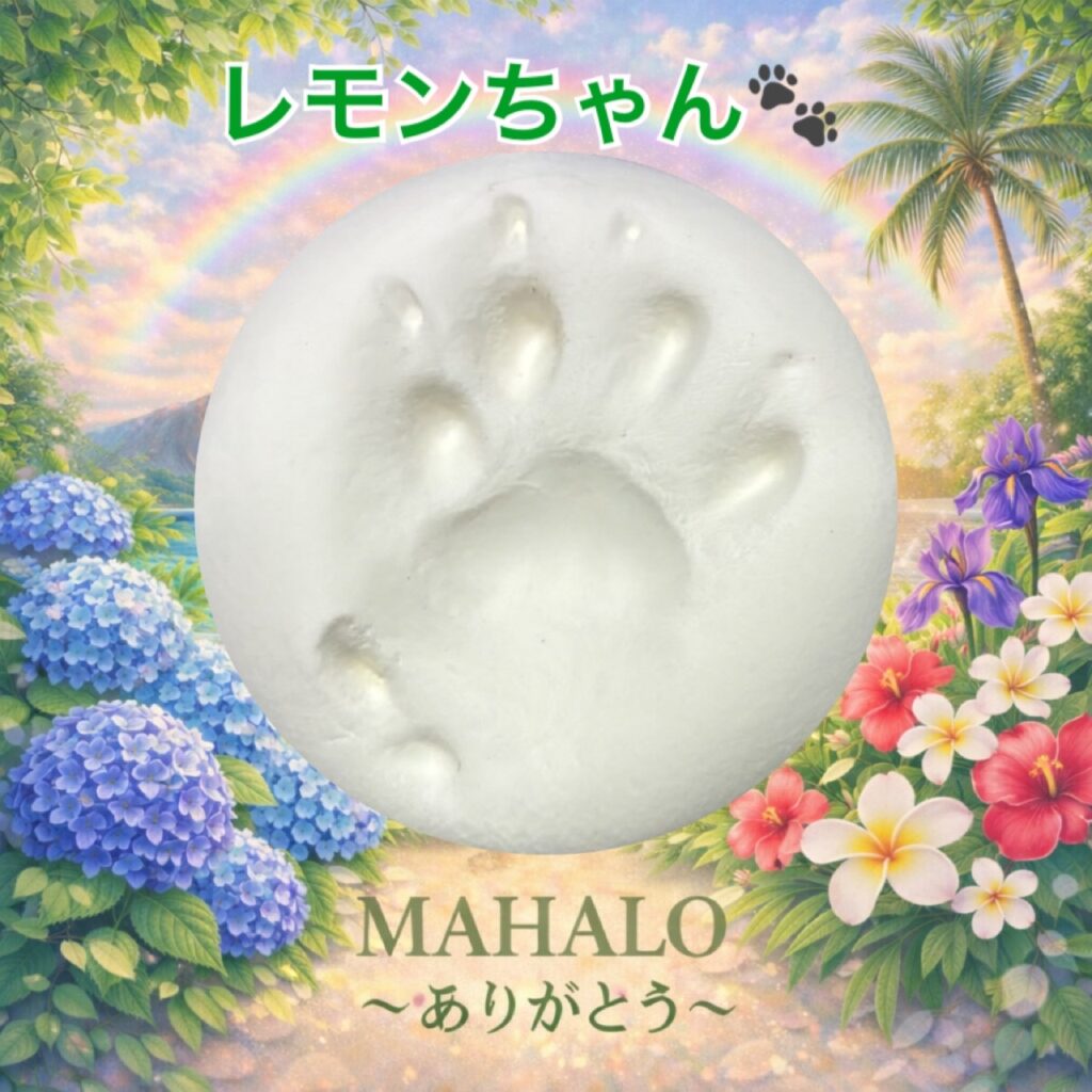MAHALOにて対応させて頂いた保護猫ちゃんの足型