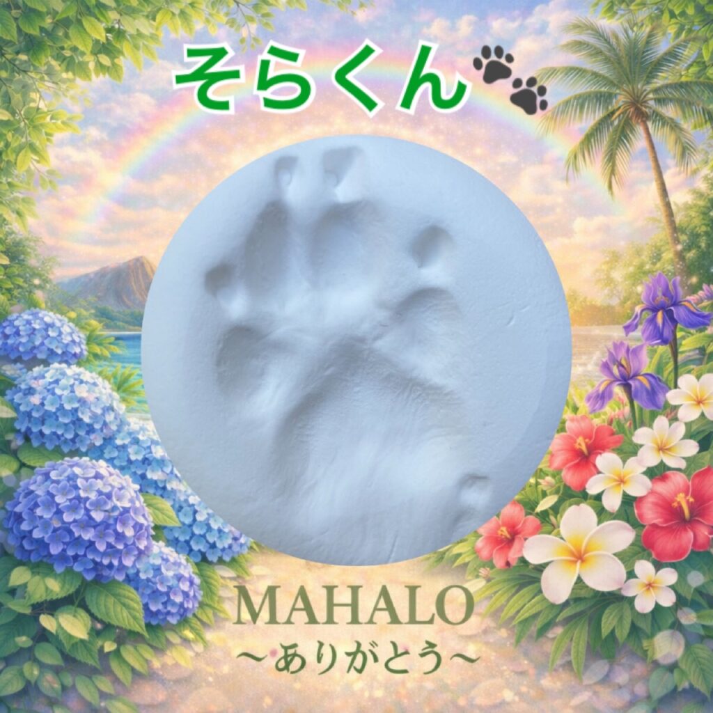 MAHALOにて対応させて頂いたミニチュアシュナウザーの足型