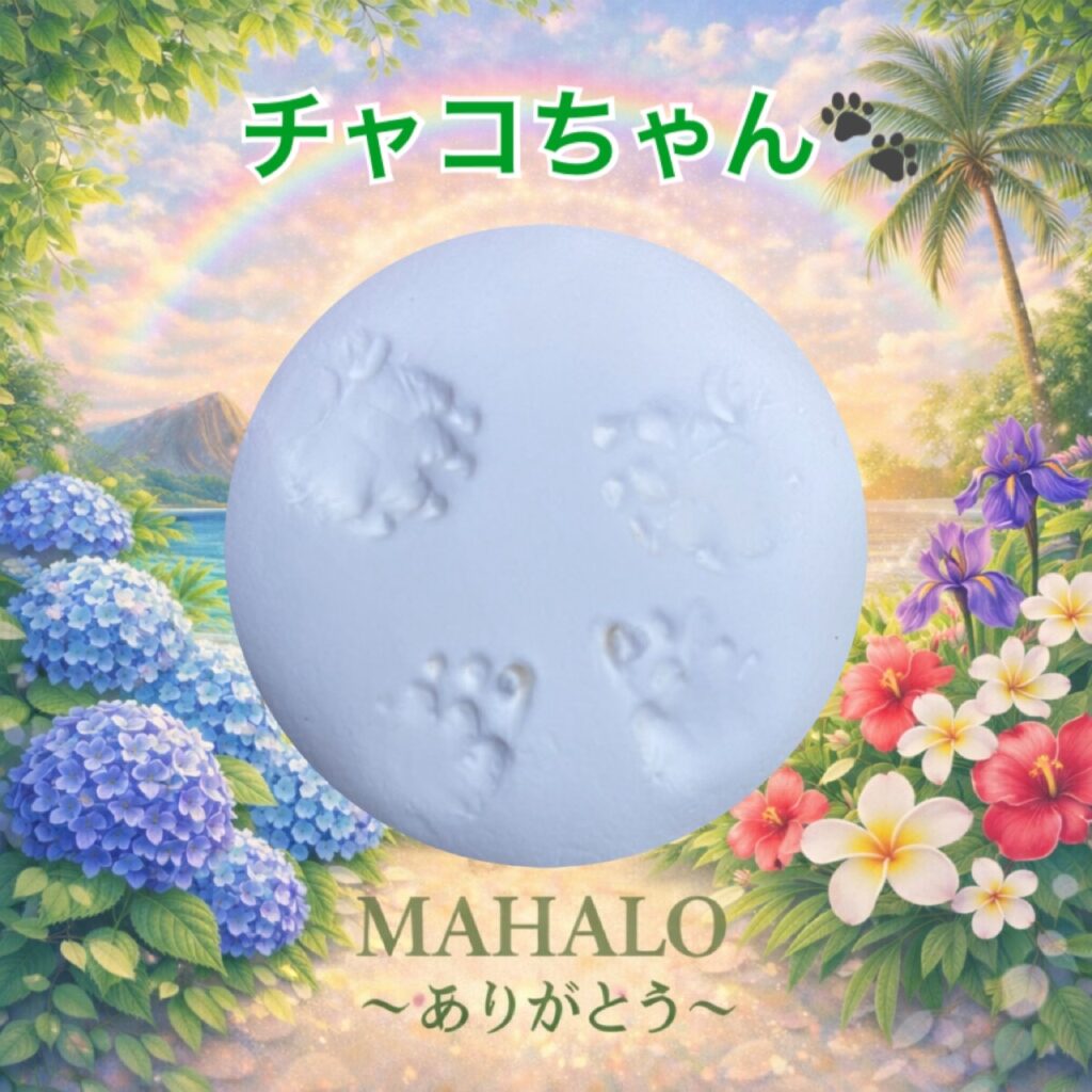 MAHALOにて対応させて頂いたハリネズミの足型