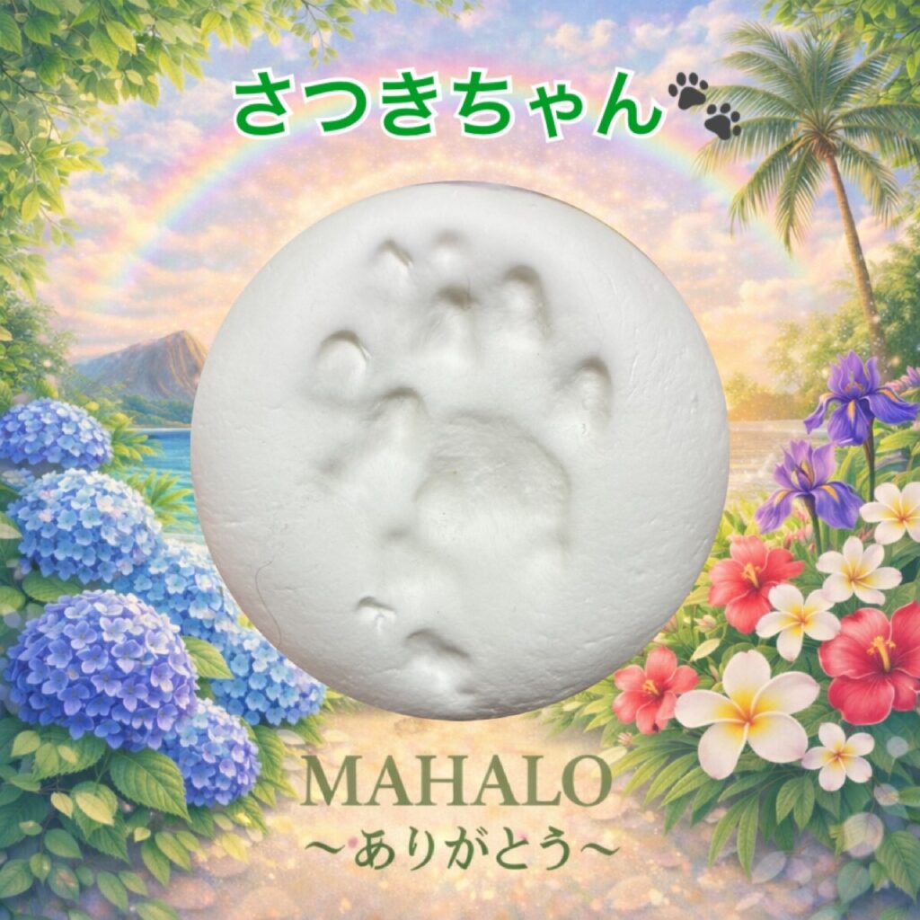 MAHALOにて対応させて頂いた猫ちゃんの足型