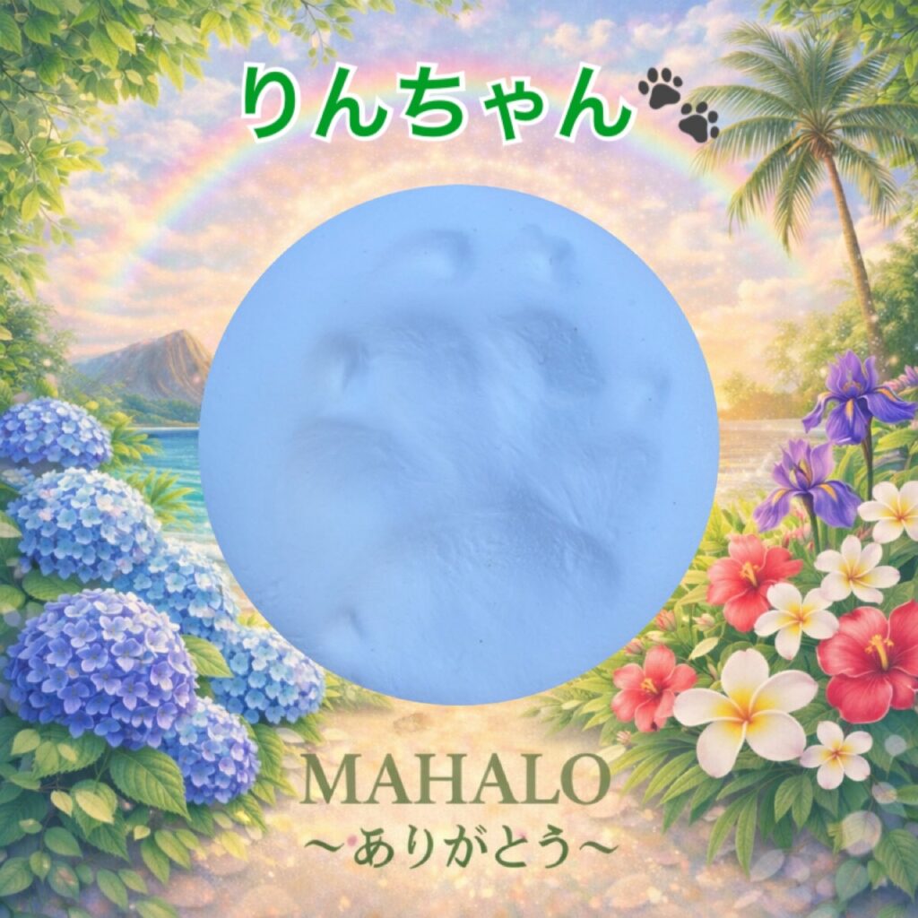 MAHALOにて対応させて頂いたﾍﾟｷﾆｰｽﾞの足型