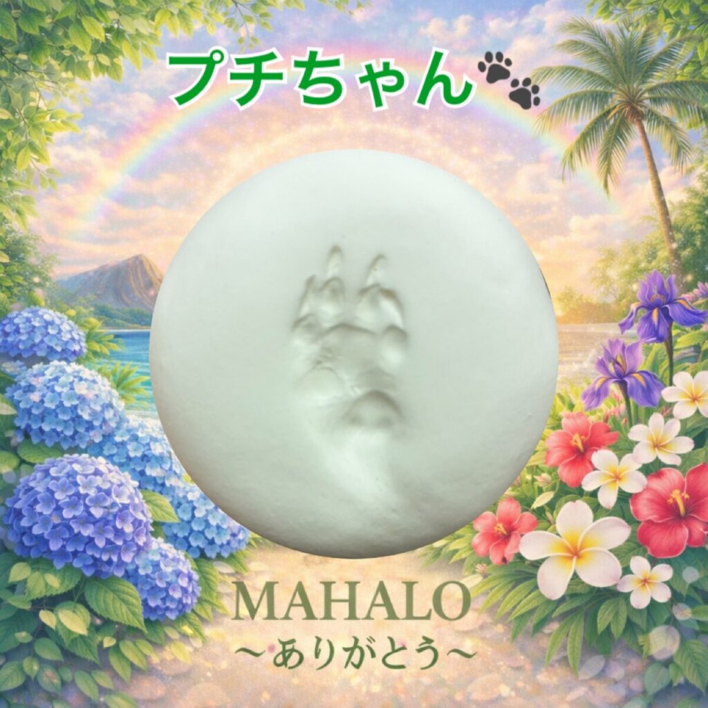 MAHALOにて対応させて頂いたモルモットの足型