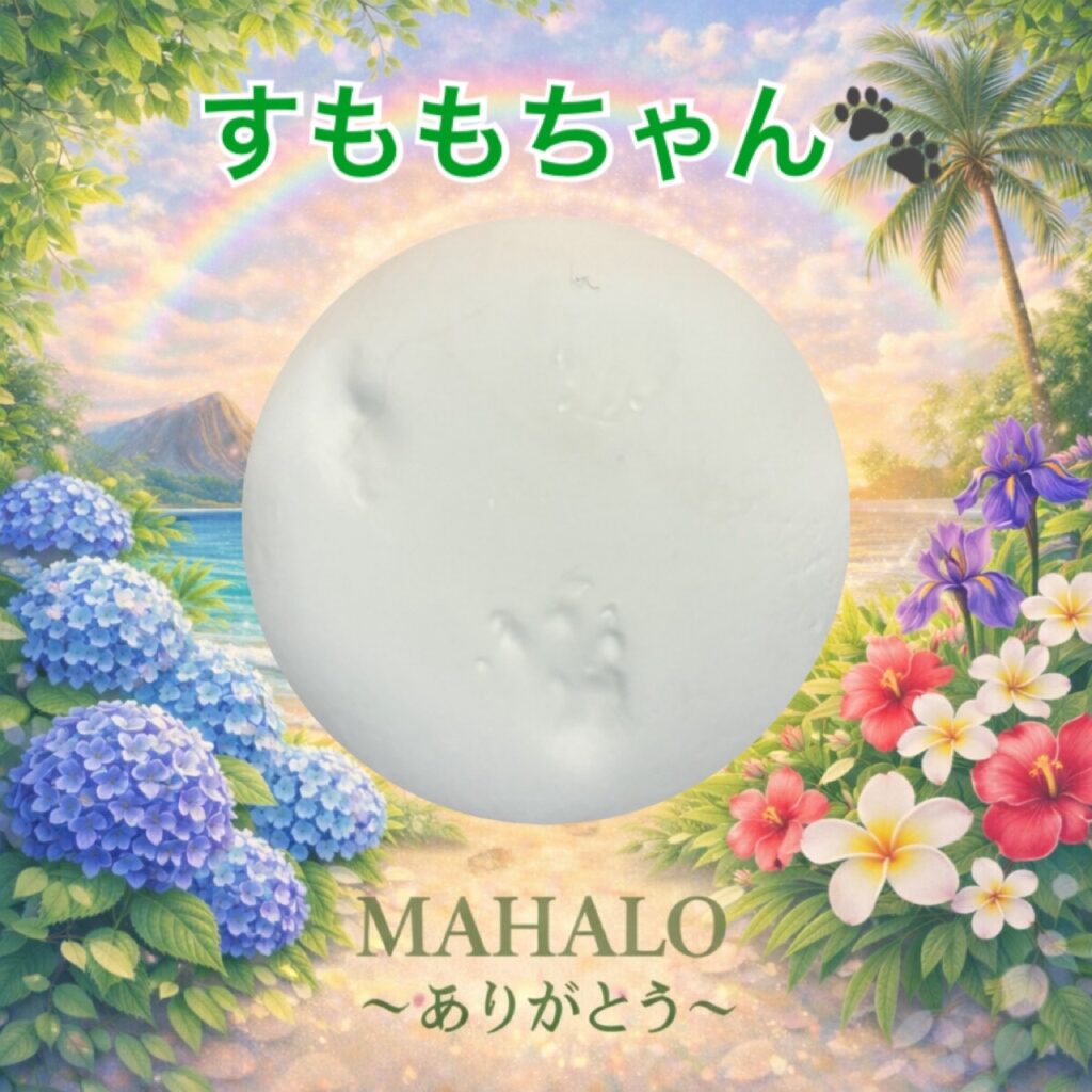 MAHALOにて対応させて頂いたハムスターの足型