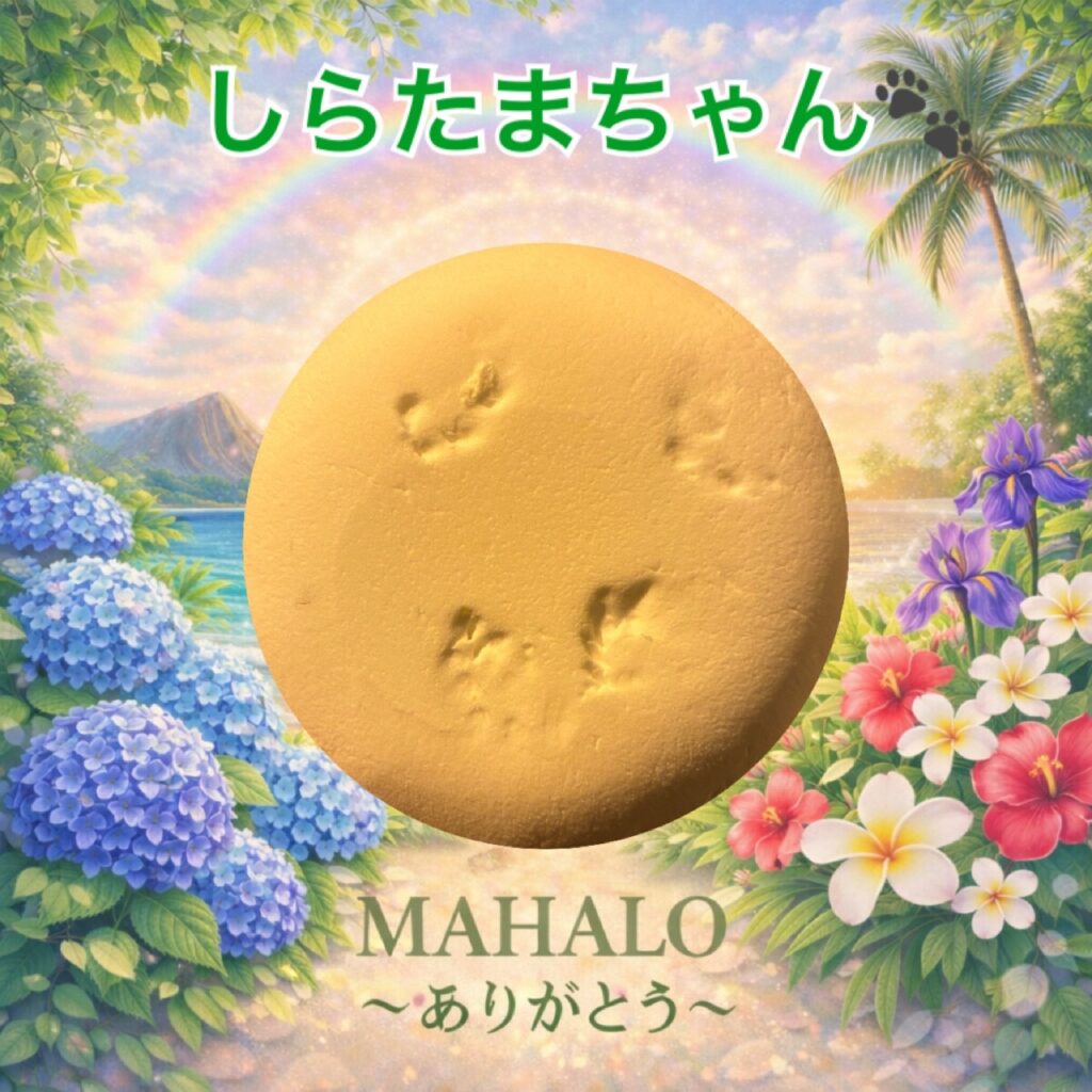 MAHALOにて対応させて頂いたゴールデンハムスターの足型