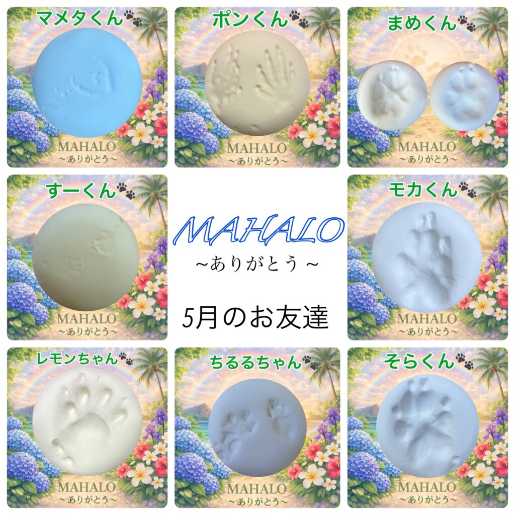 MAHALOにて対応させて頂いたペットちゃんの足型