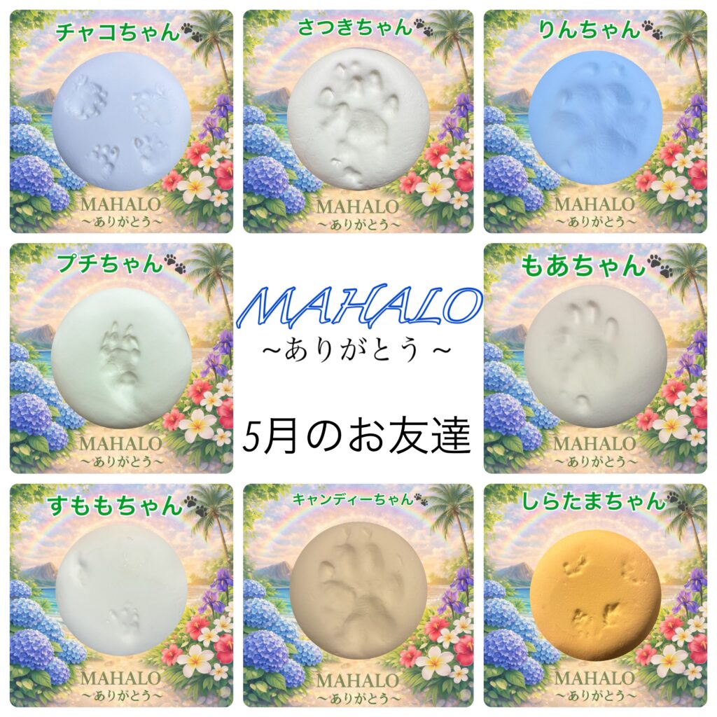 MAHALOにて対応させて頂いたペットちゃんの足型