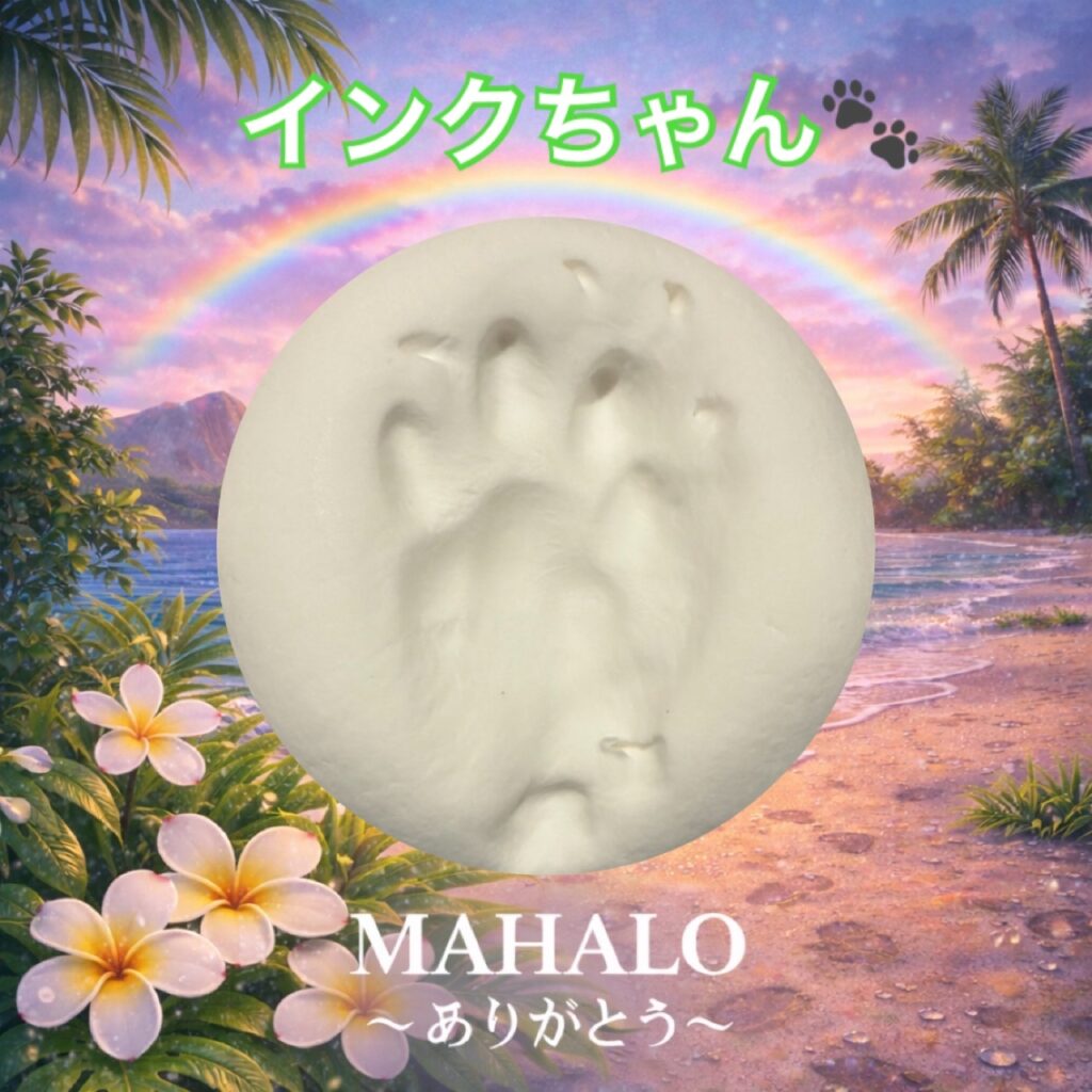 MAHALOにて対応させて頂いた猫ちゃんの足型