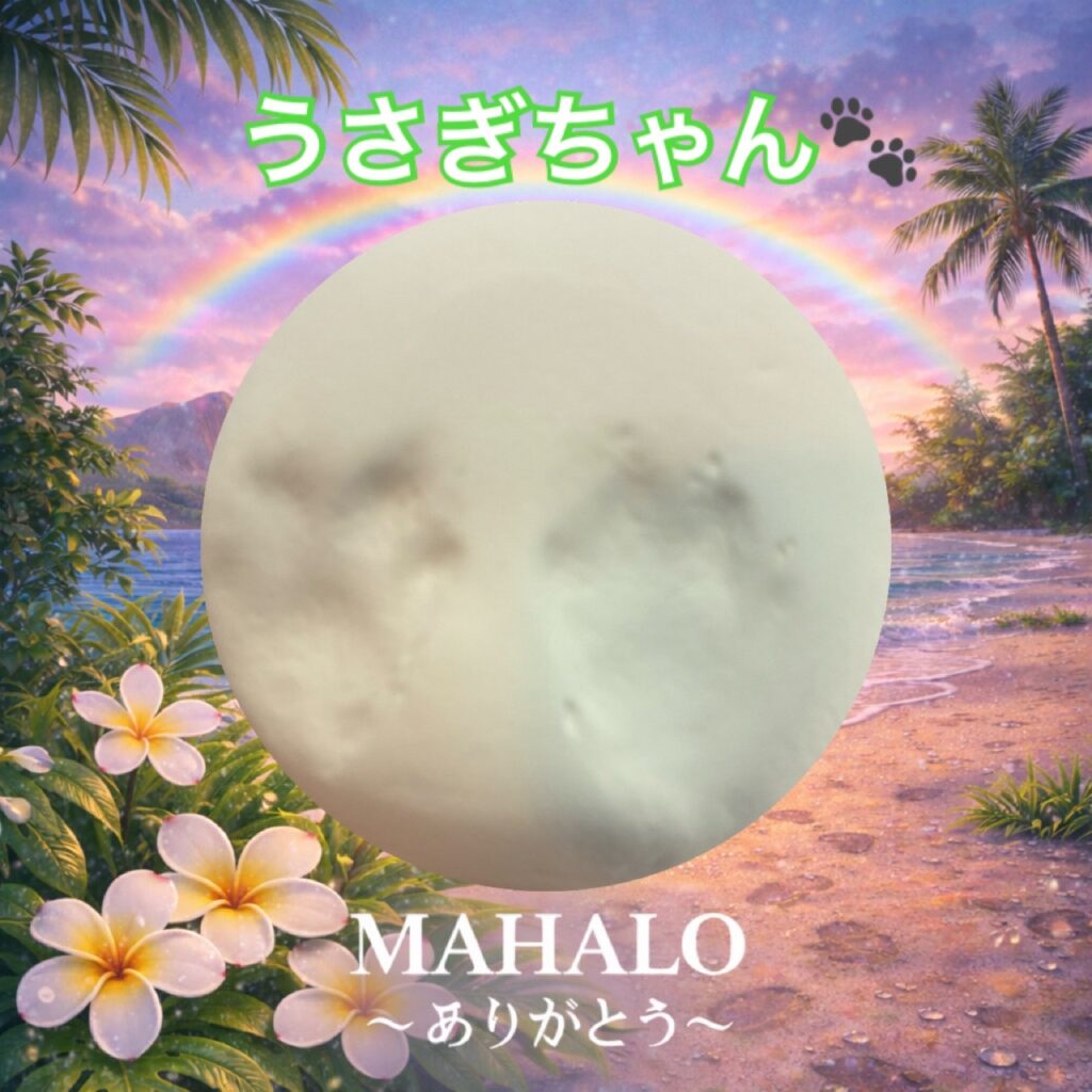 MAHALOにて対応させて頂いたうさぎちゃんの足型
