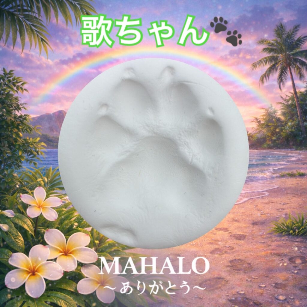 MAHALOにて対応させて頂いたフレンチブルドッグの足型