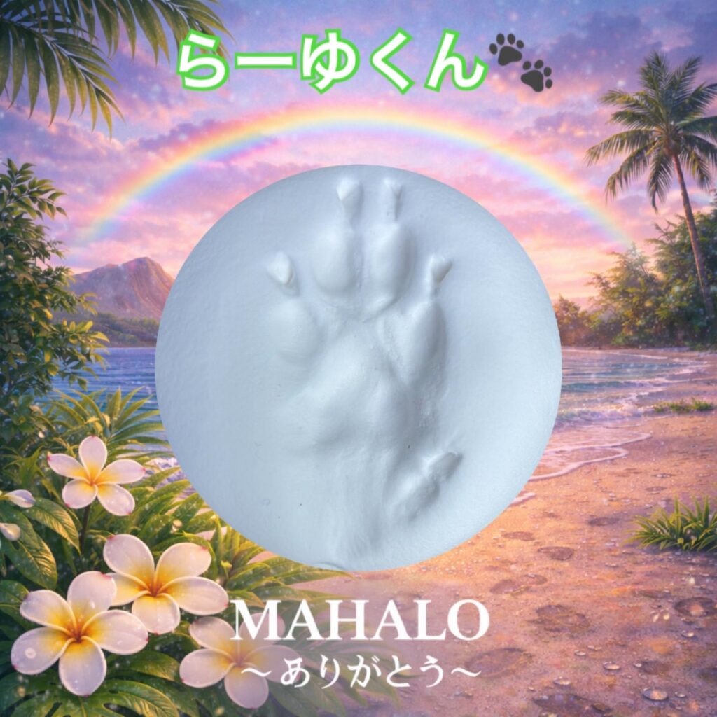 MAHALOにて対応させて頂いたヨークシャテリアの足型