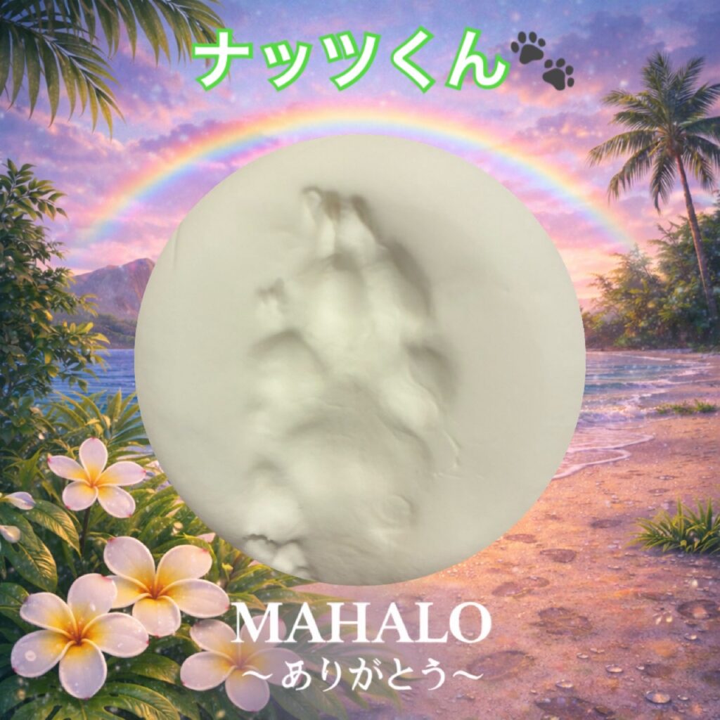 MAHALOにて対応させて頂いたトイプードルの足型