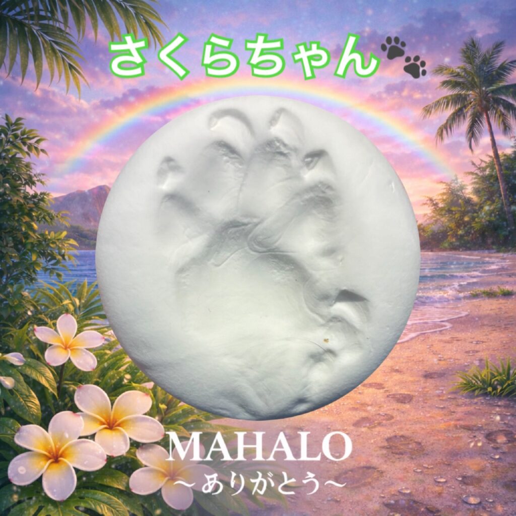 MAHALOにて対応させて頂いたミニチュアダックスフンドの足型
