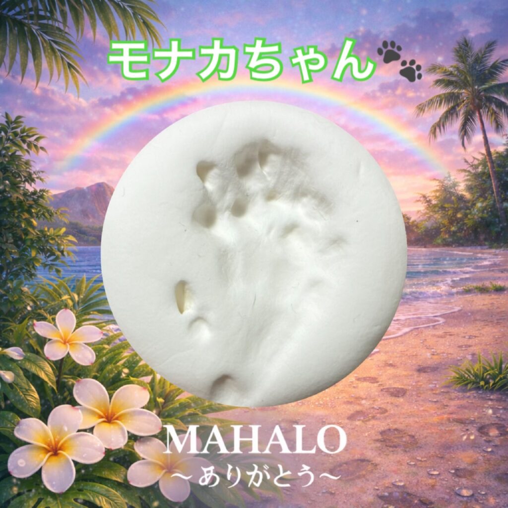 MAHALOにて対応させて頂いた猫の足型