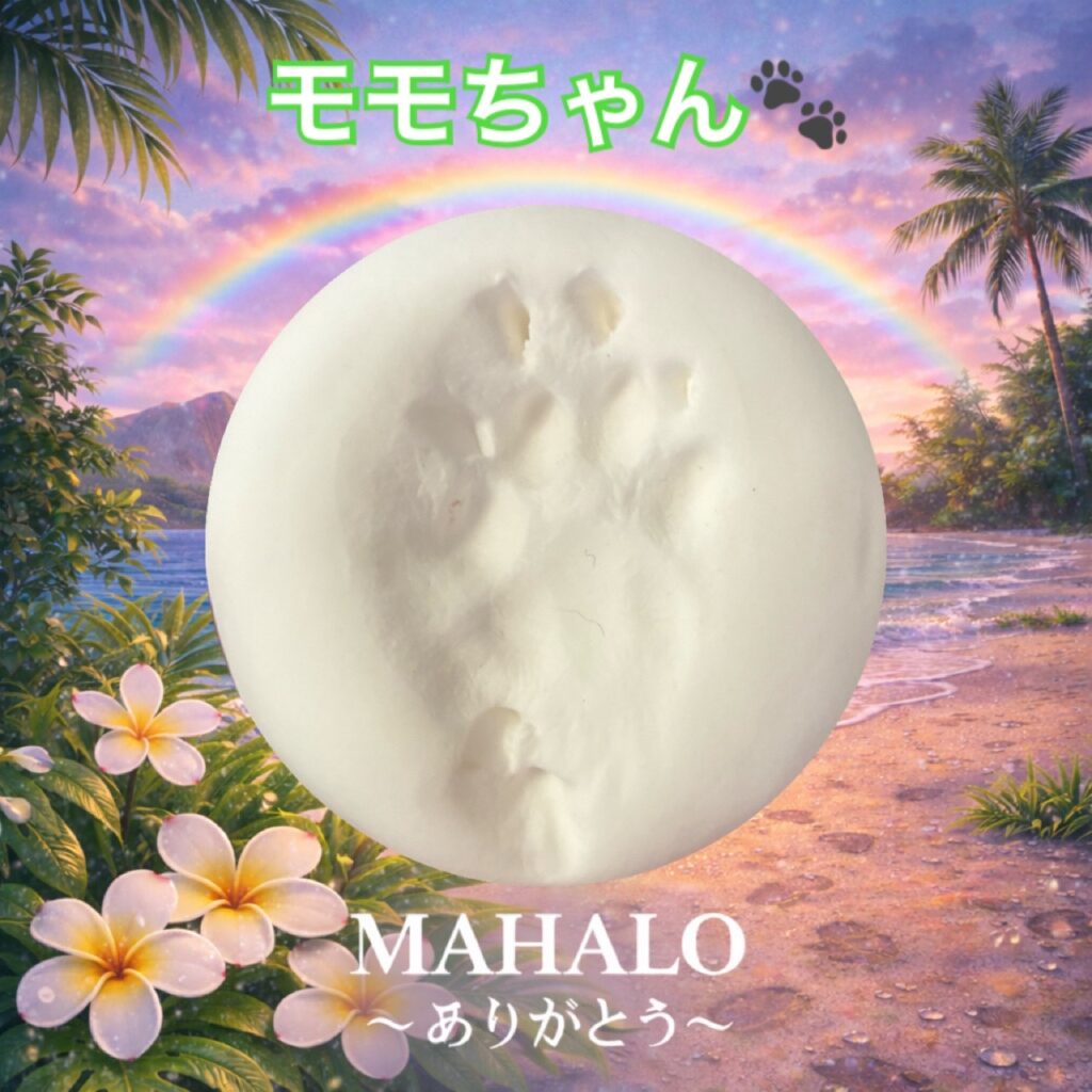 MAHALOにて対応させて頂いた猫ちゃんの足型