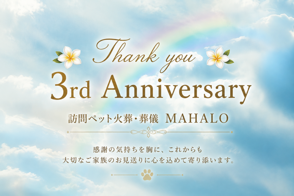 訪問ペット火葬・葬儀MAHALO3周年のご挨拶と感謝を伝える夏のイメージ画像