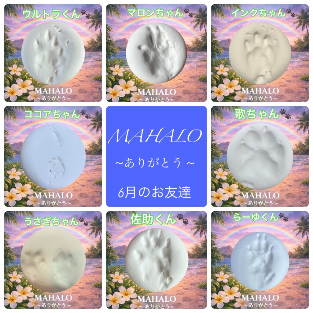 MAHALOにて対応させて頂いたペットちゃんの足型