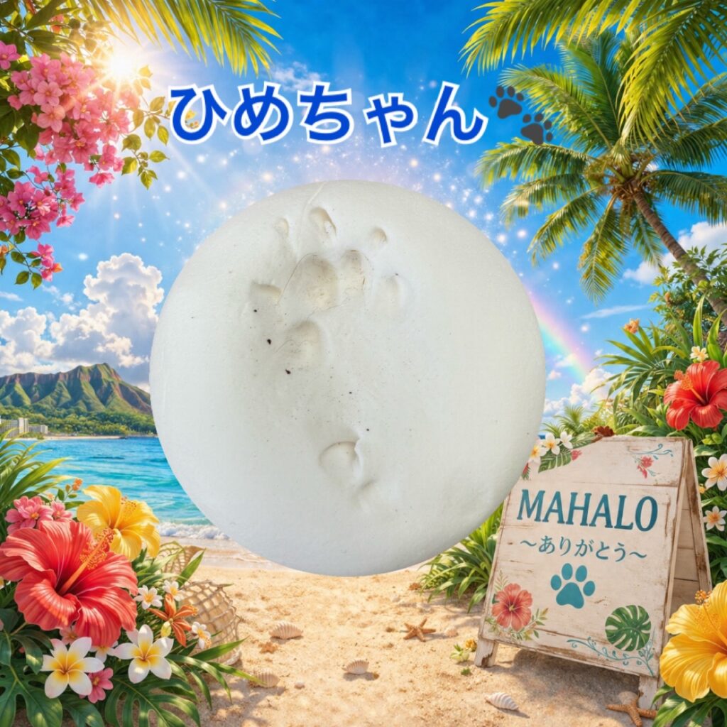 MAHALOにて対応させて頂いたねこちゃんの足型