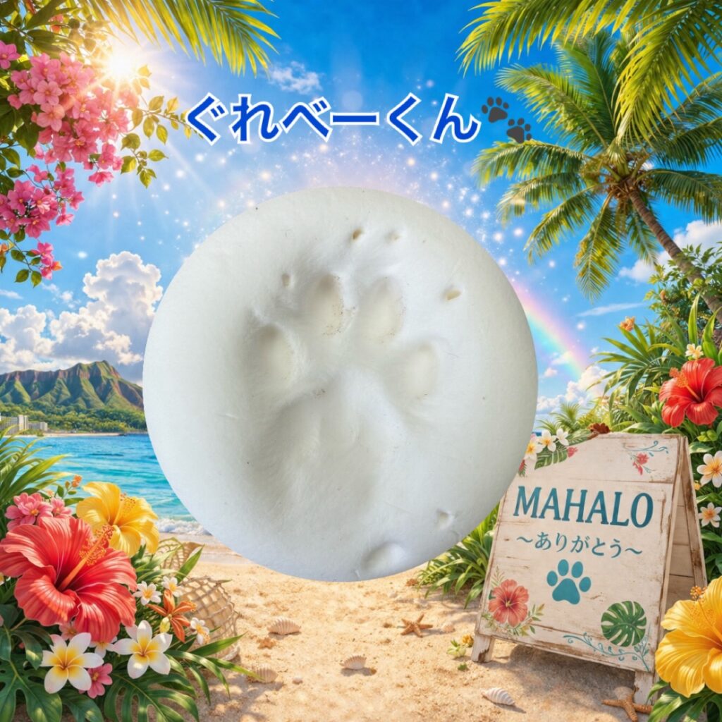 MAHALOにて対応させて頂いたねこの足型