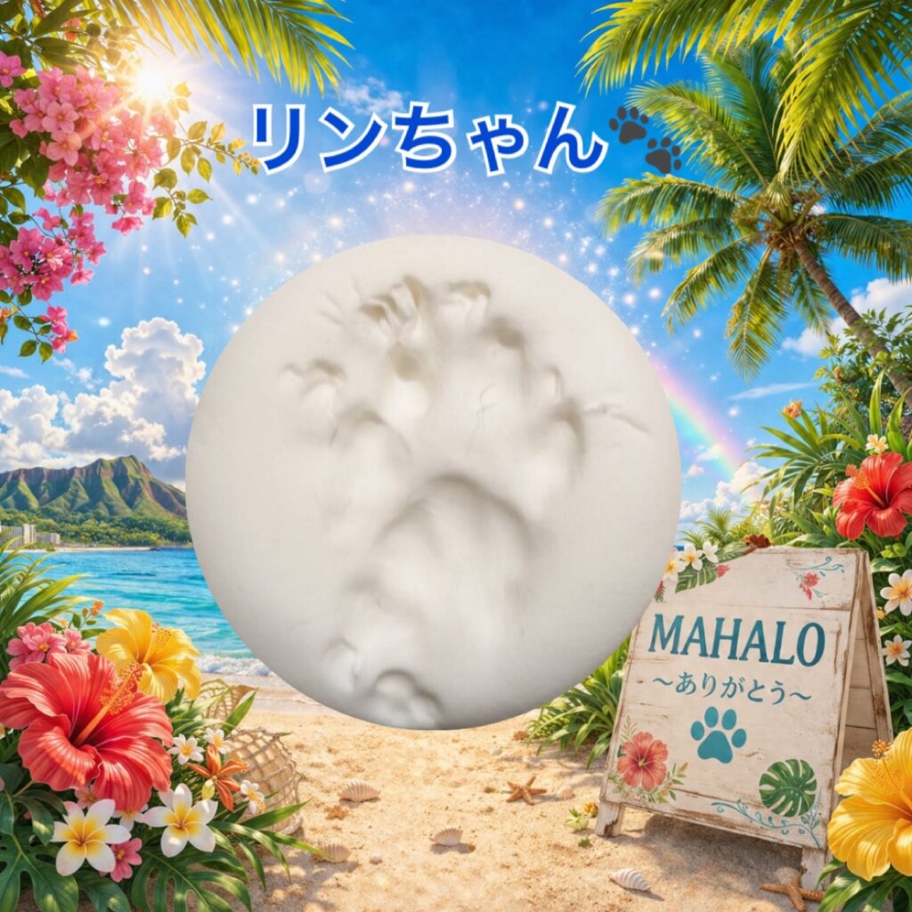 MAHALOにて対応させて頂いたねこちゃんの足型