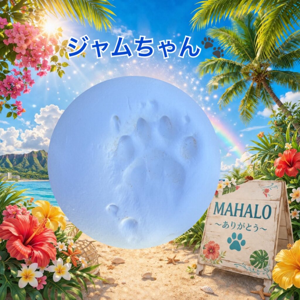 MAHALOにて対応させて頂いたねこの足型
