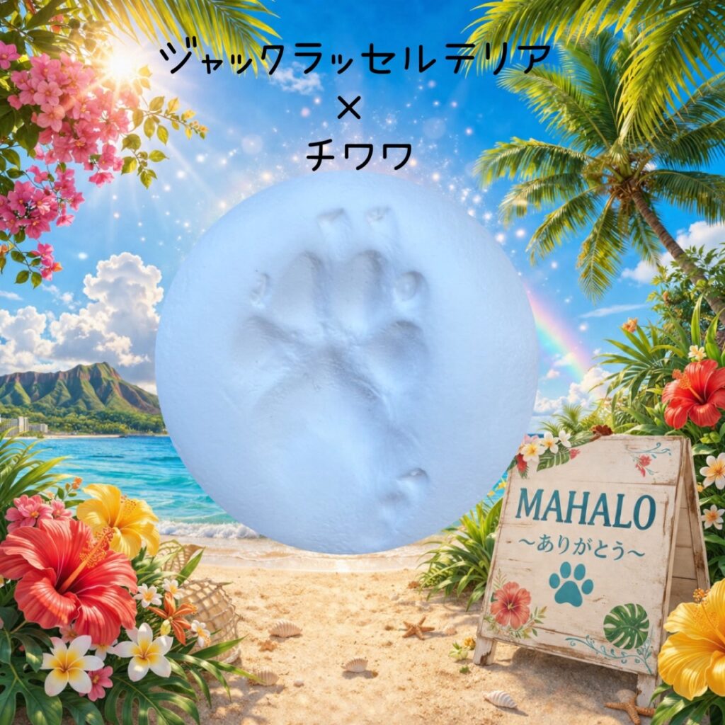MAHALOにて対応させて頂いたジャックラッセルテリア・チワワの足型