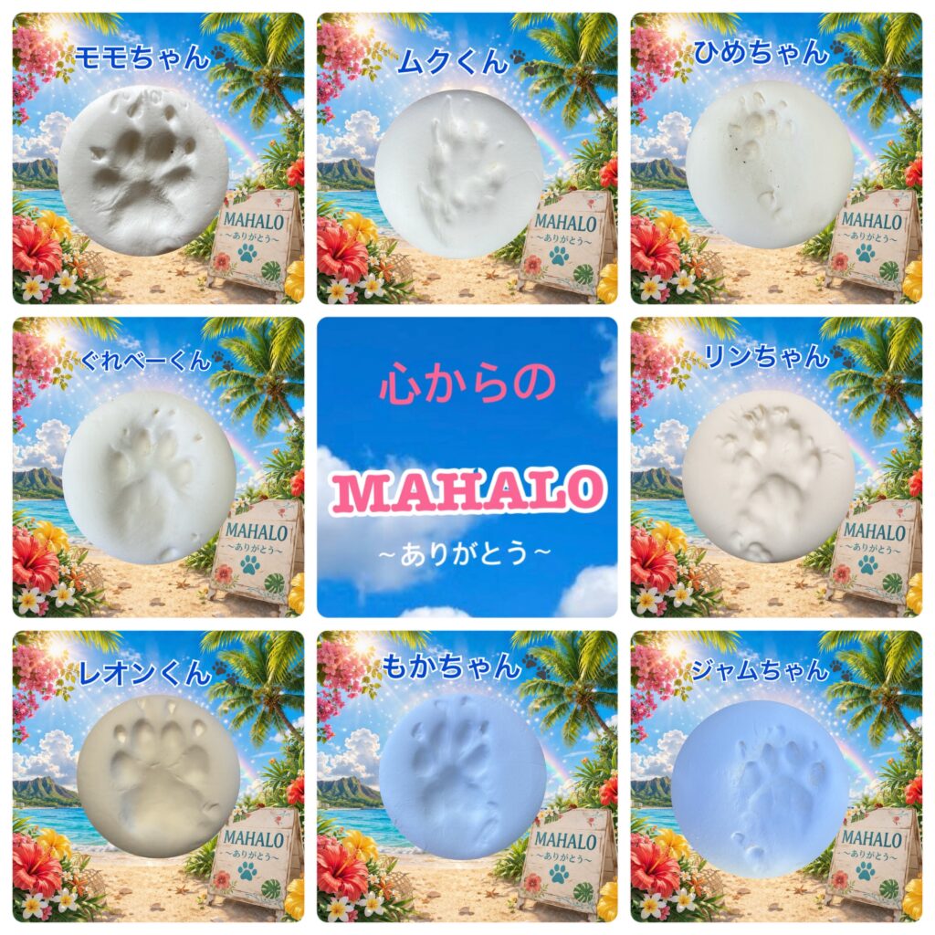 MAHALOにて対応させて頂いたペットちゃんの足型