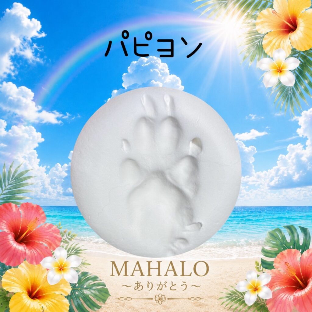 MAHALOにて対応させて頂いたパピヨンちゃんの足型