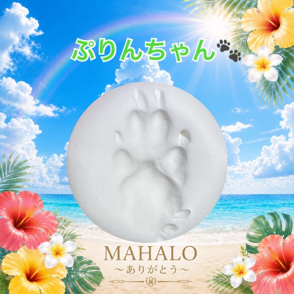 MAHALOにて対応させて頂いたパピヨンちゃんの足型