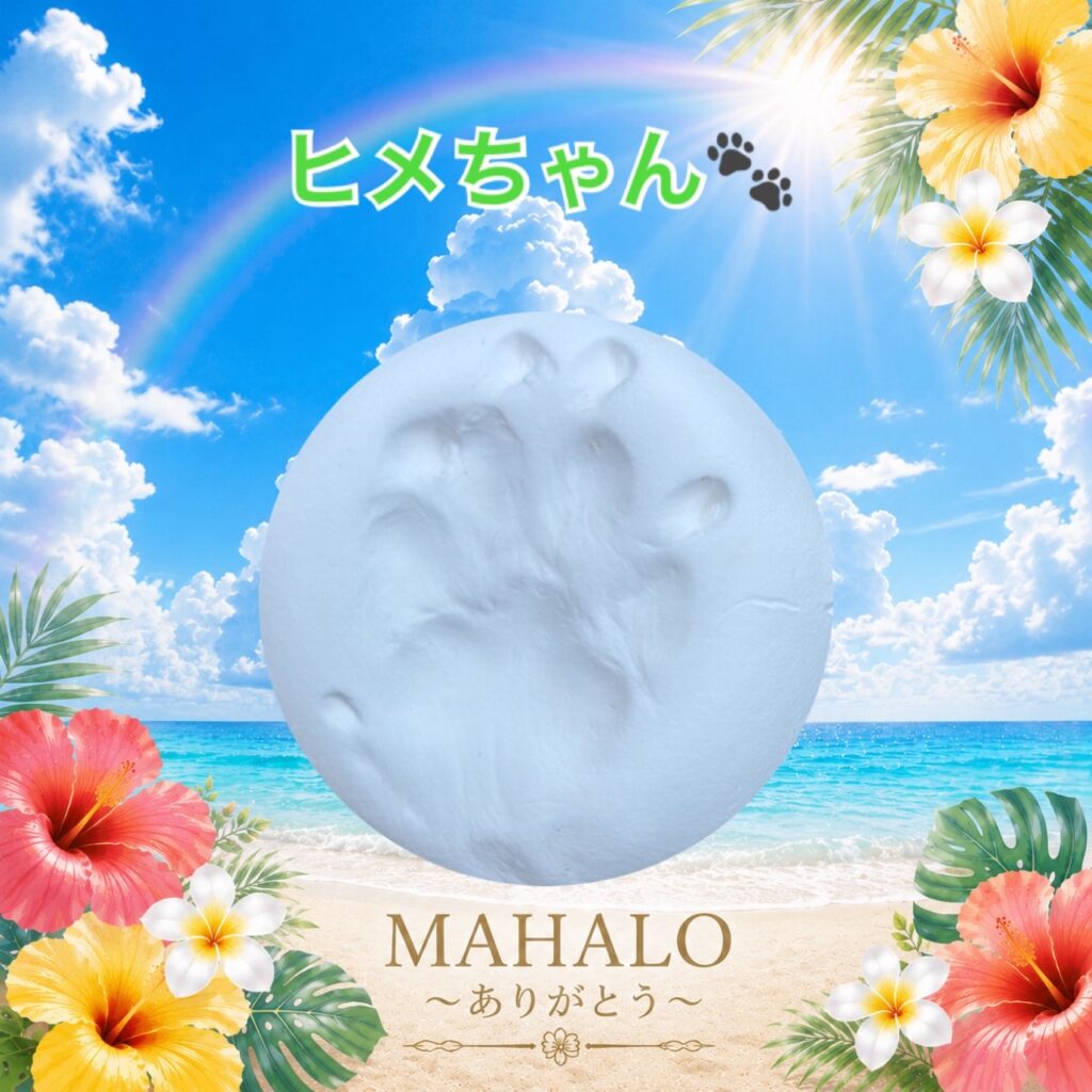 MAHALOにて対応させて頂いたチワックスちゃんの足型