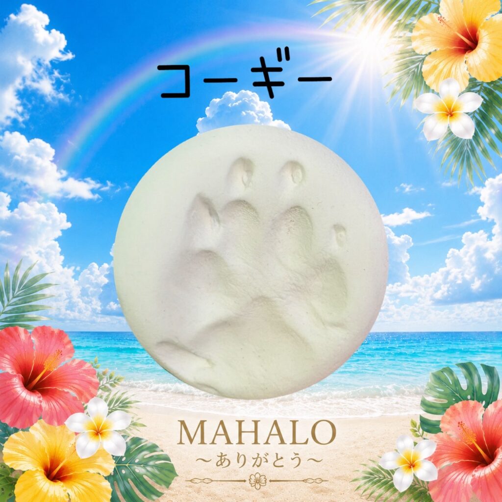 MAHALOにて対応させて頂いたコーギーちゃんの足型