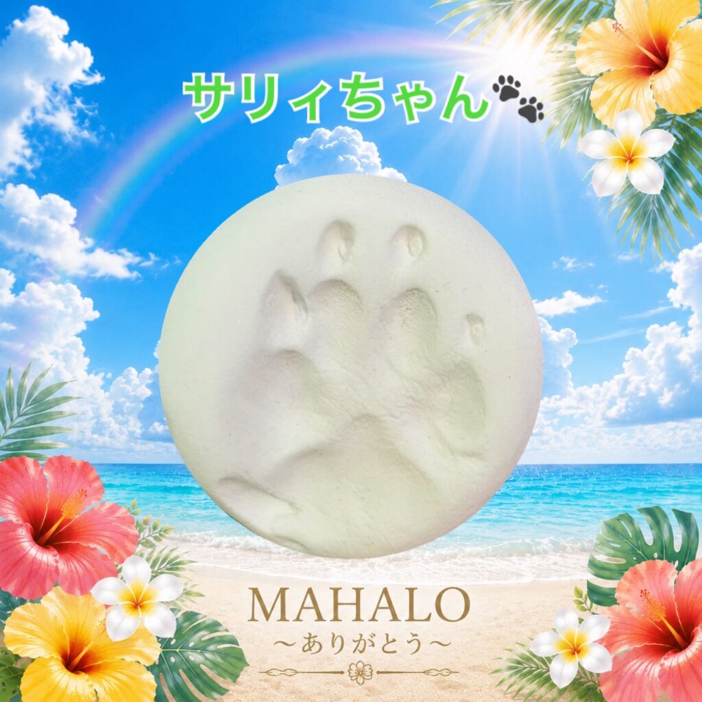 MAHALOにて対応させて頂いたコーギーちゃんの足型