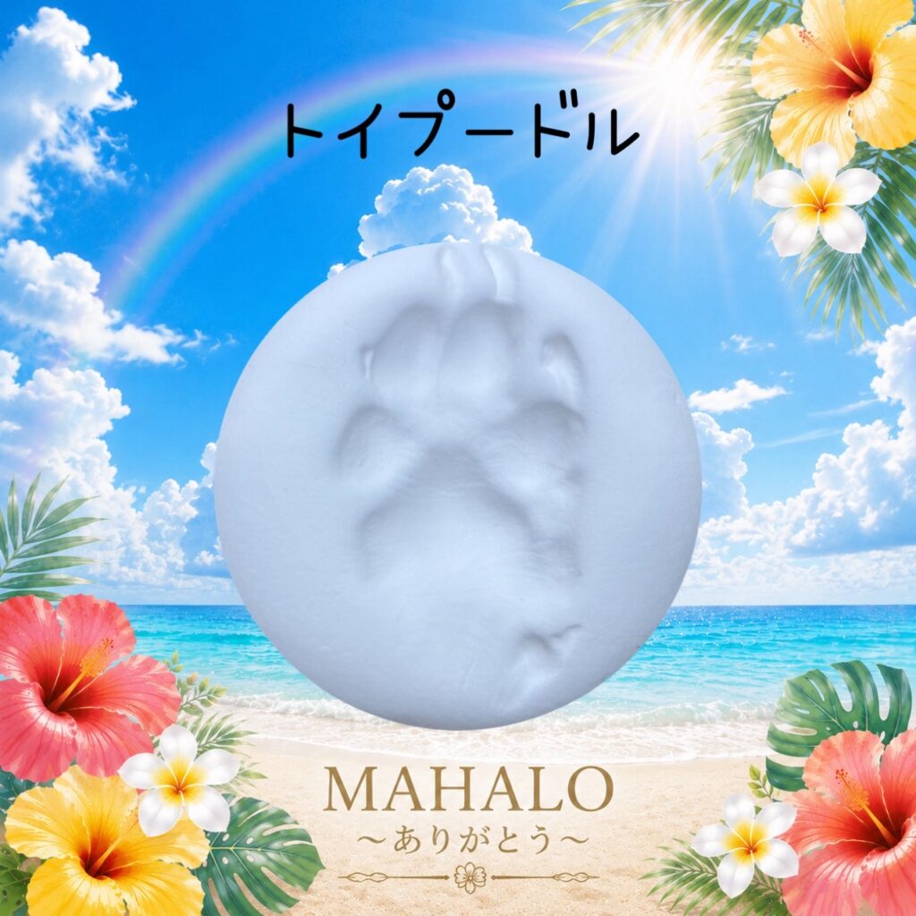 MAHALOにて対応させて頂いたトイプードルちゃんの足型
