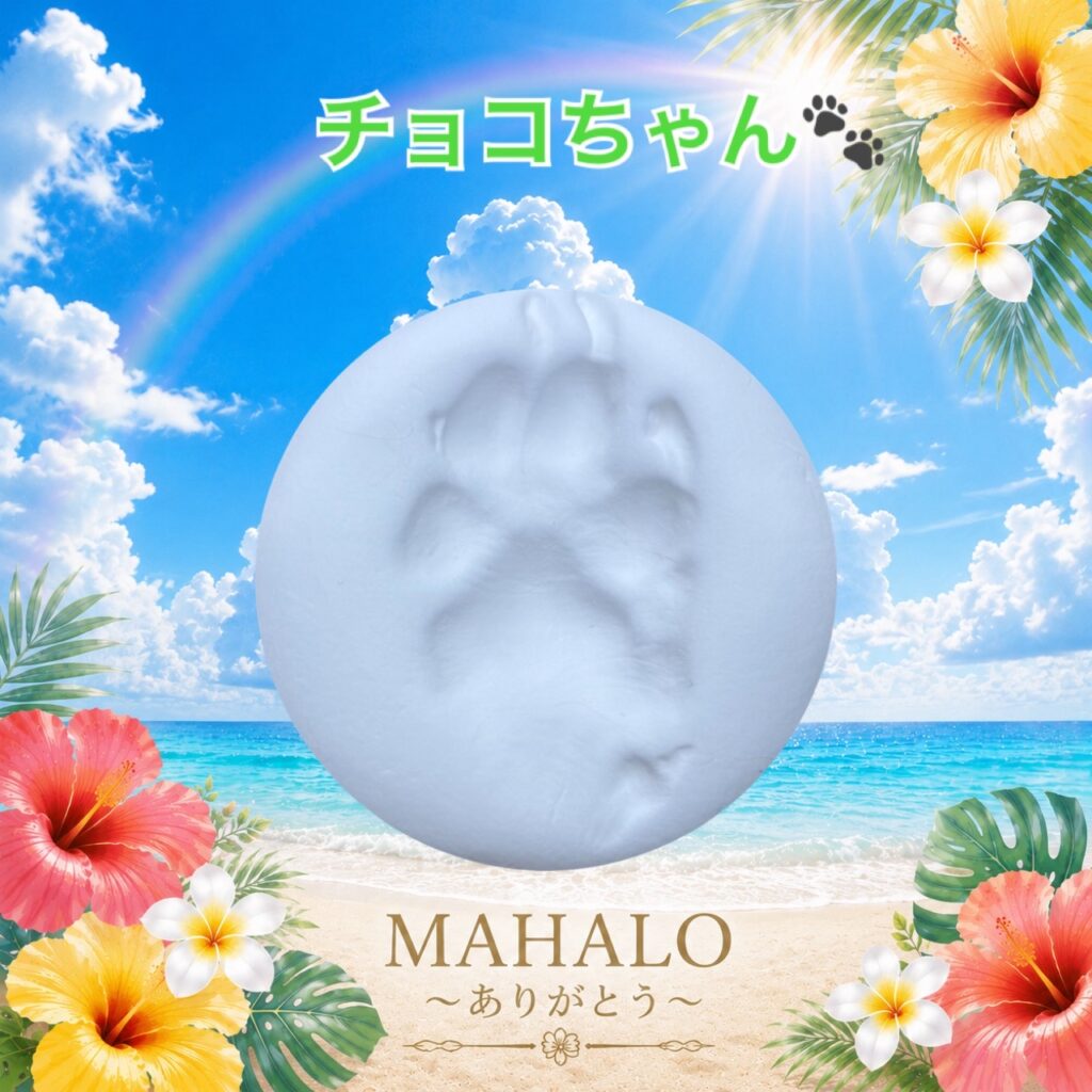MAHALOにて対応させて頂いたトイプードルちゃんの足型