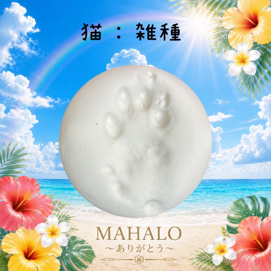 MAHALOにて対応させて頂いた猫ちゃんの足型