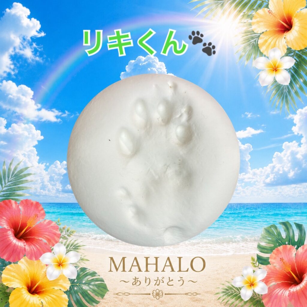 MAHALOにて対応させて頂いた猫ちゃんの足型