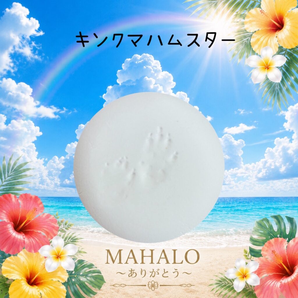 MAHALOにて対応させて頂いたキンクマハムスターちゃんの足型