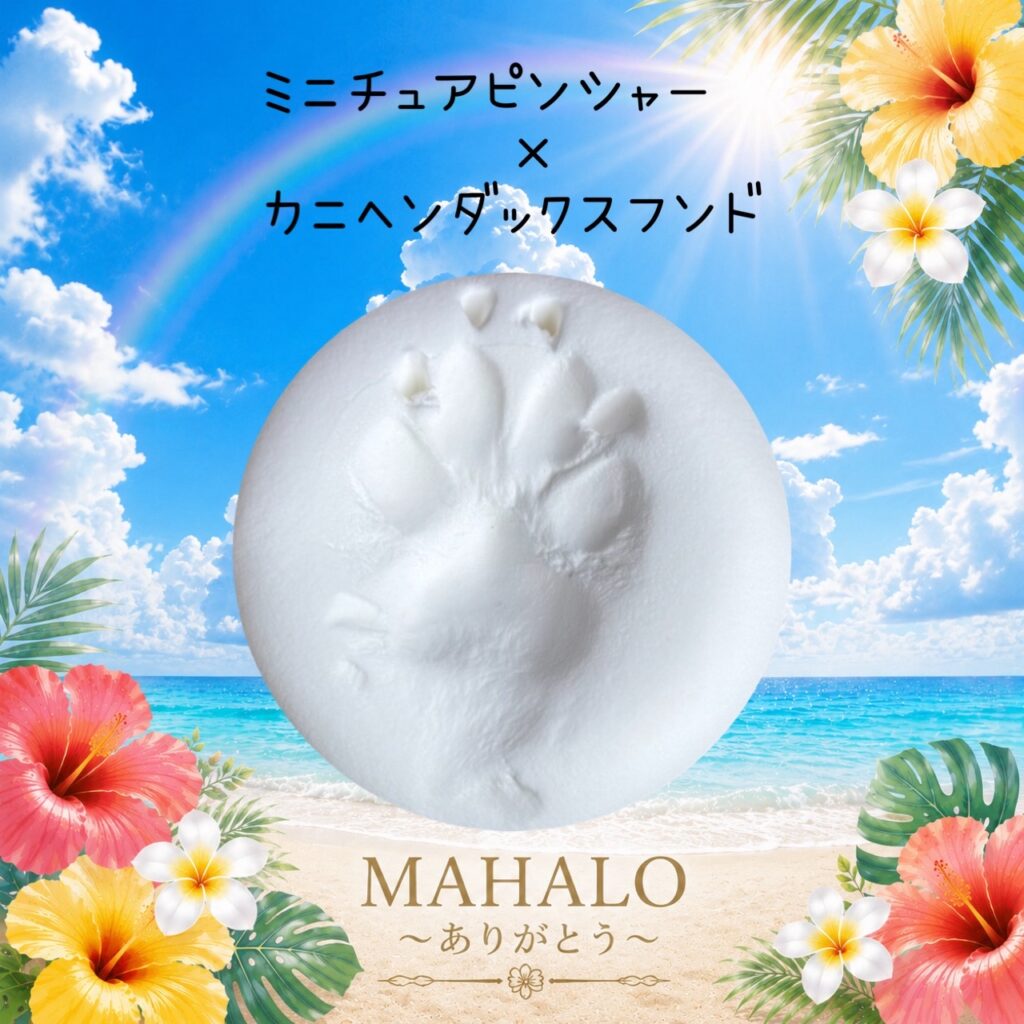 MAHALOにて対応させて頂いたミニチュアピンシャー×カニヘンダックスフンドちゃんの足型