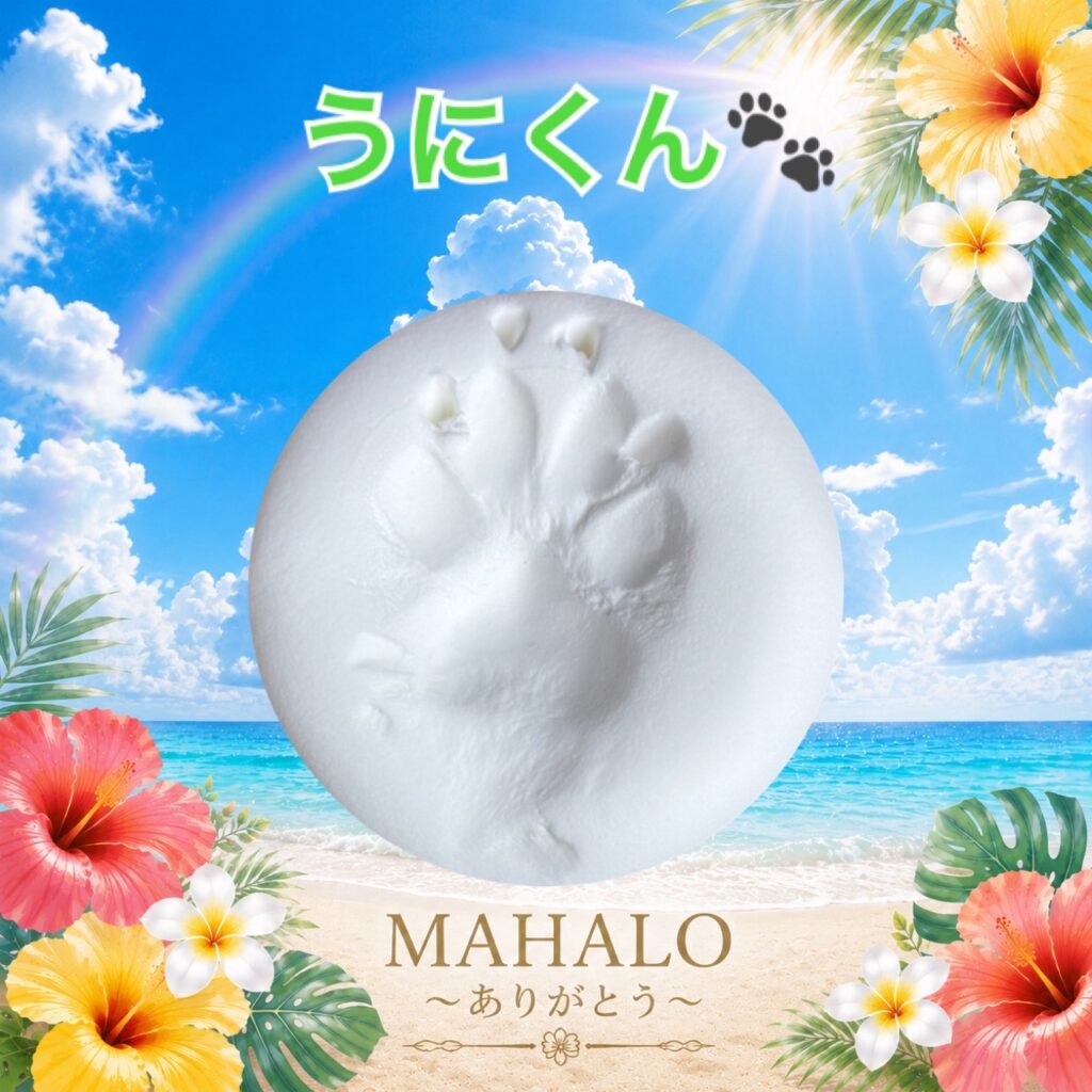 MAHALOにて対応させて頂いたミニチュアピンシャー×カニヘンダックスフンドちゃんの足型
