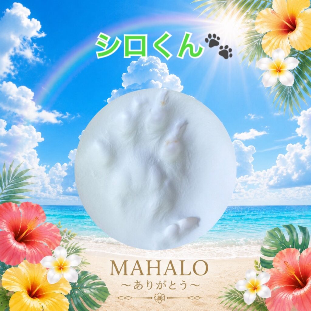 MAHALOにて対応させて頂いた猫ちゃんの足型