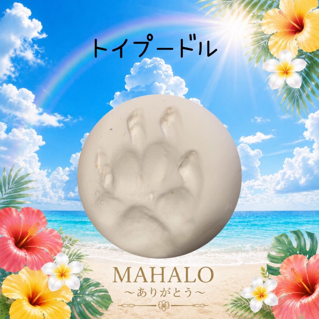 MAHALOにて対応させて頂いたトイプードルちゃんの足型