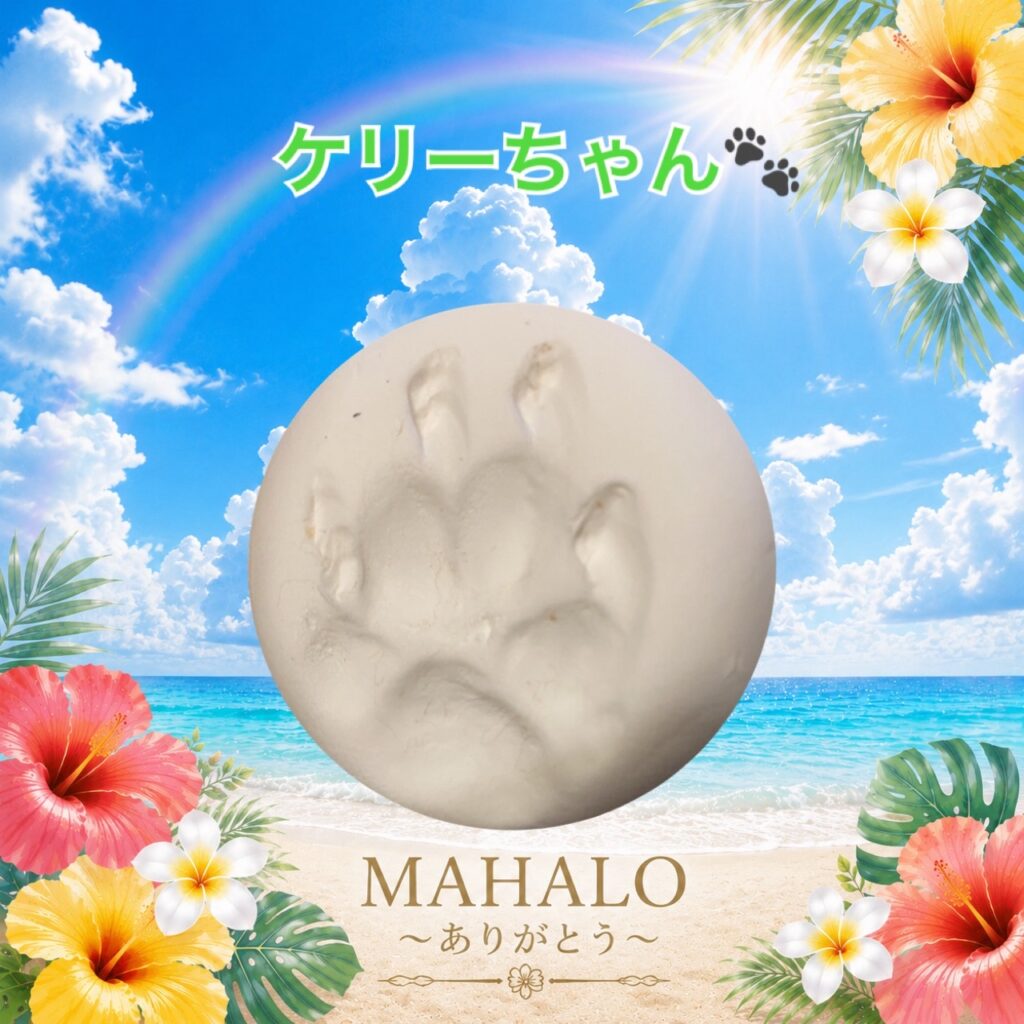 MAHALOにて対応させて頂いたトイプードルちゃんの足型